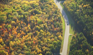 森林防火措施（森林防火措施主要有哪些内容）