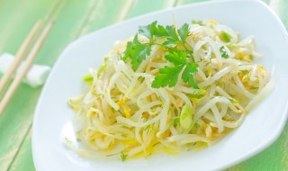 绿豆芽怎么生粗壮又白（绿豆芽怎么生粗壮又白色）