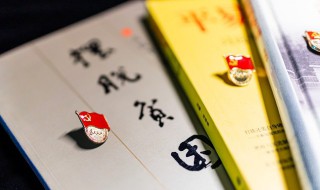 群团组织包括哪些（群团组织指的是什么）