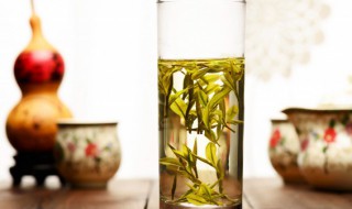 安吉白茶哪里产的最好（安吉白茶产地哪里）