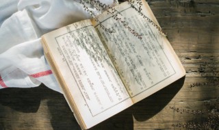 潮汕人的祖先（潮汕人的祖先是福建人吗）