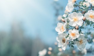 万物复苏的季节（万物复苏的季节是什么意思）