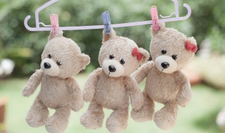 毛绒玩具怎么晾干 毛绒玩具怎么晾干不会发霉