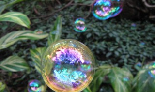 自制泡泡水怎么做 泡泡水怎么调配