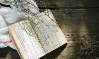 嘎达梅林是哪个民族 嘎达梅林是哪个民族的叙事