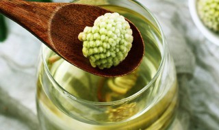 结香花茶的知识介绍 结香花茶的制作方法
