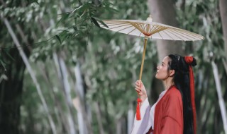 伞竹怎么养才长得好（伞竹好养活吗）