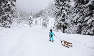 梦见雪地里走路（孕妇梦见雪地里走路）
