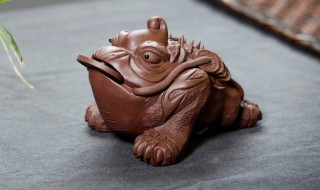 茶具上的金蟾怎么养 茶具上的金蟾怎么养活