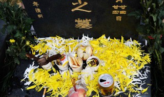 清明节送什么花好（清明节鲜花）