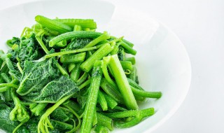 菜切了之后怎么保存（菜切了之后怎么保存不会坏）
