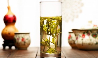 黄茶的品种有哪些（黄茶的品种有哪些名字）