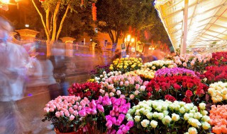 三月开的花有哪些（三月开的花有哪些?(花名、颜色）