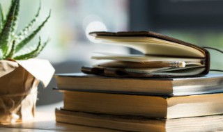 关于重阳的句子 关于重阳节的诗句有哪些
