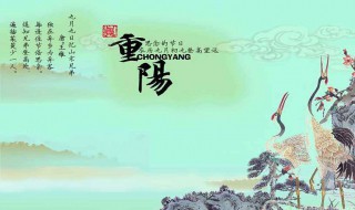 关于重阳节的说说（重阳节风俗有哪些 传统）