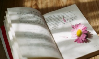 感动爱人流泪的话 感动爱人流泪的话给老公