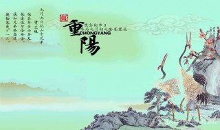 重阳节的祝愿语（重阳节祝福语 祝愿）
