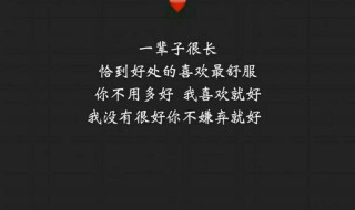 小情话暖人心8字以内 小情话暖人心8字以内的句子