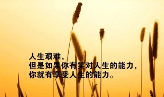 正能量激励语（奋斗正能量激励语）