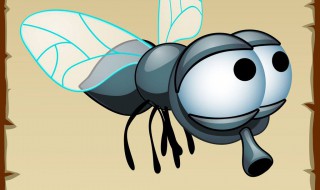 驱蚊草真的能驱蚊吗 胡椒木驱蚊草真的能驱蚊吗