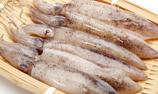 鱿鱼怎么处理干净不黑（鱿鱼怎么处理才不腥）