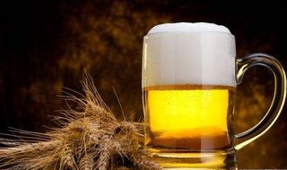 戒啤酒的最好方法 戒啤酒的最好方法是什么