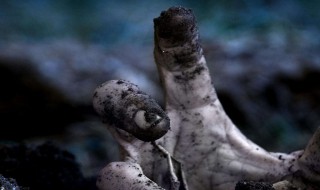 历史上真实的丧尸事件 历史上真实的丧尸事件视频