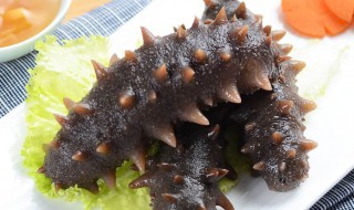 鲜冻的海参怎么处理（鲜冻的海参怎么处理好吃）
