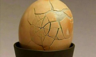 地上臭鸡蛋味怎么处理（臭鸡蛋掉地上怎么除味）