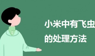 小米中有飞虫怎么处理（小米有小飞虫了怎么办）