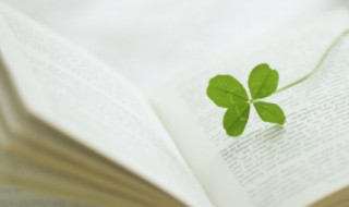 美到窒息的古风句子 美到窒息的古风句子简短