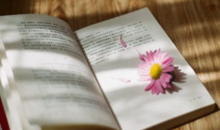 团结的句子励志 教师团结的句子励志