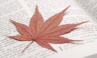 心若向阳的励志的句子（心若向阳的励志的句子早安语）