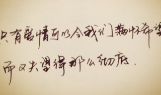 对爱情失望的句子（佛说对爱情失望的句子）