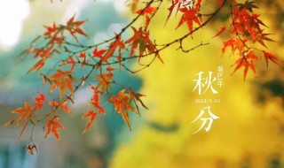 秋分祝福语（秋分祝福语简短）