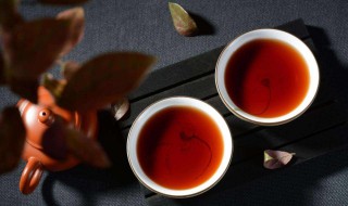 如何喝普洱茶（普洱 怎么喝）