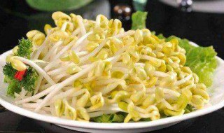 在家如何生黄豆芽（在家如何生黄豆芽简单方法）