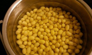 泡黄豆做法窍门 泡黄豆做法窍门是什么