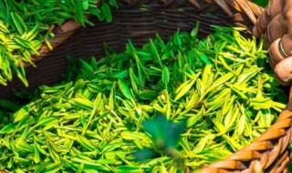 喝绿茶有什么好处与坏处 喝绿茶的好处百度百科