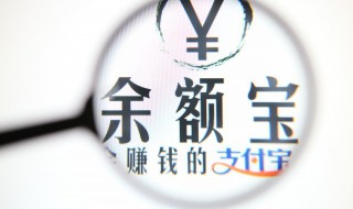 怎样登录支付宝主页 登录支付宝怎么登录