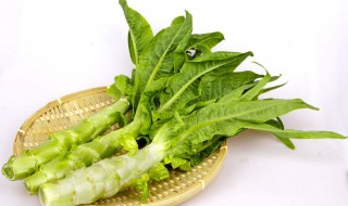 种莴笋小技巧 如何种植莴笋长势好