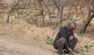 守村人是什么意思（农村守村人是什么意思）