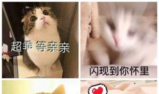 撩汉甜到爆炸的句子（撩汉甜到爆炸的句子追星文）