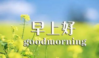 问早安的句子正能量（问早安的句子 正能量）