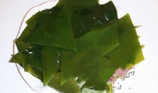 海带叶芽怎么保存 海带叶芽怎么做好吃