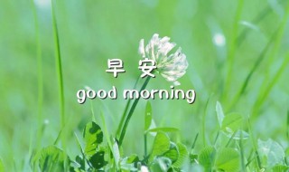 早安短语一句话 早安短语一句话带图片最新版