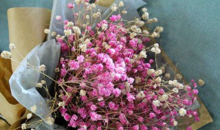 干花做了怎么保存 干花制作完成后怎么保存