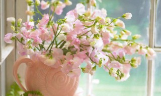 鲜花怎么保存更长（鲜花怎么保存更长久泡在水里）