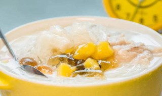 海石花的功效与禁忌（海石花的功效与禁忌是高嘌呤）
