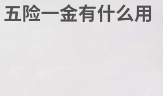 五险一金各有什么用（五险一金到底有什么用?看完恍然大悟）